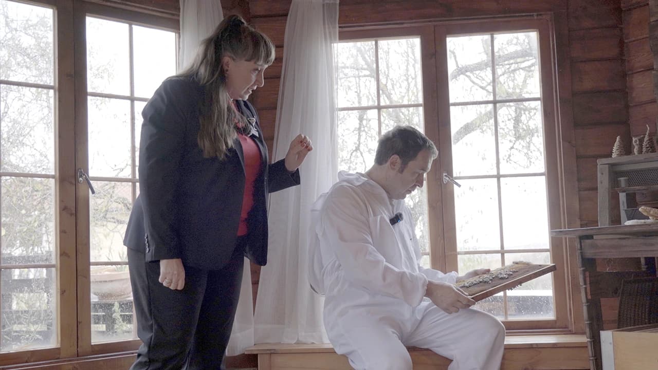 Mola Wine Podcast Trailer