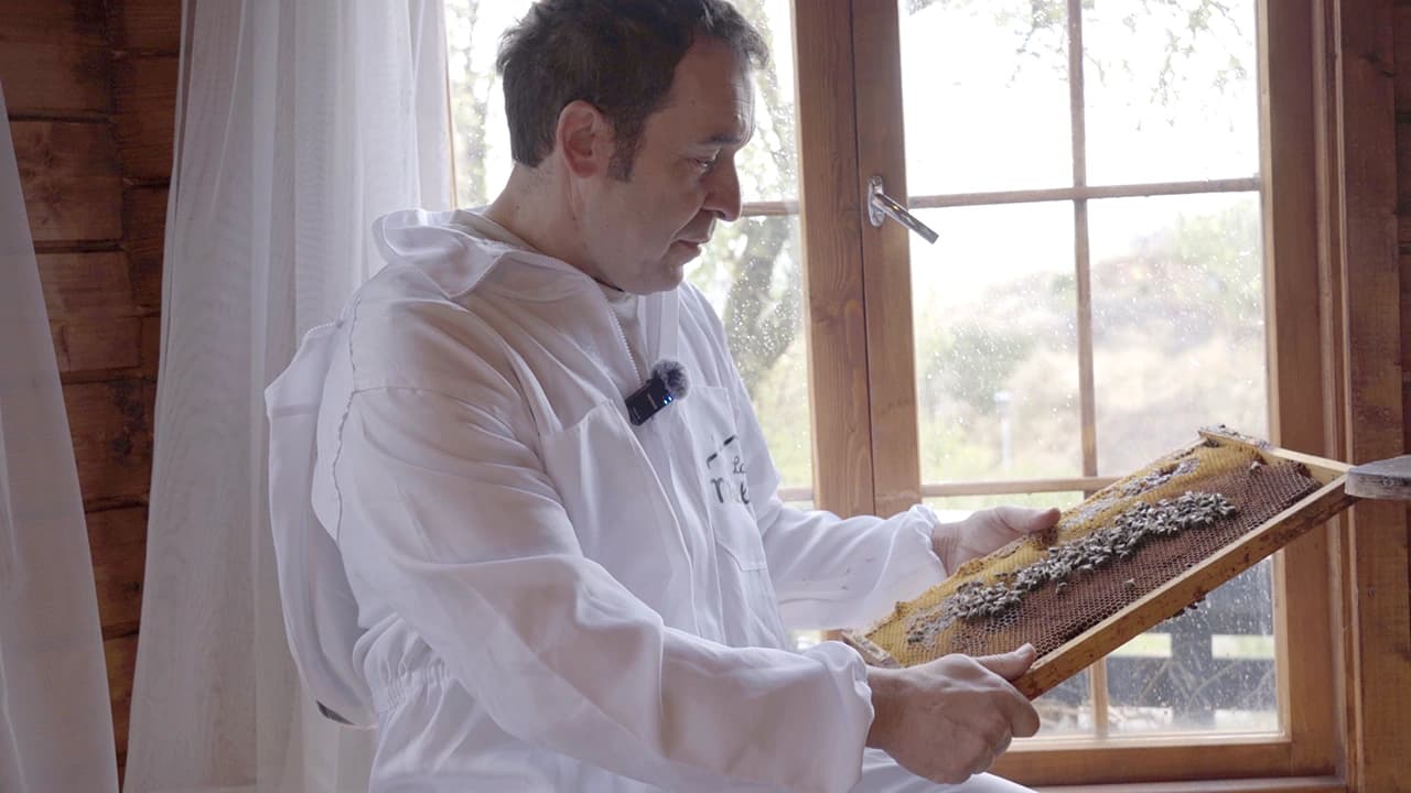 Mola Wine Podcast Trailer